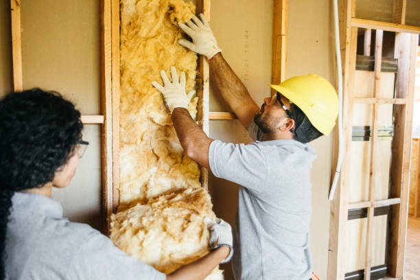 Best Soundproof Insulation  in Waimalu, HI